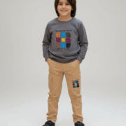 1768474556221-065bad90-0c12-484c-a6f6-75fbde78c3ec